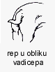 rep u obliku vadicepa